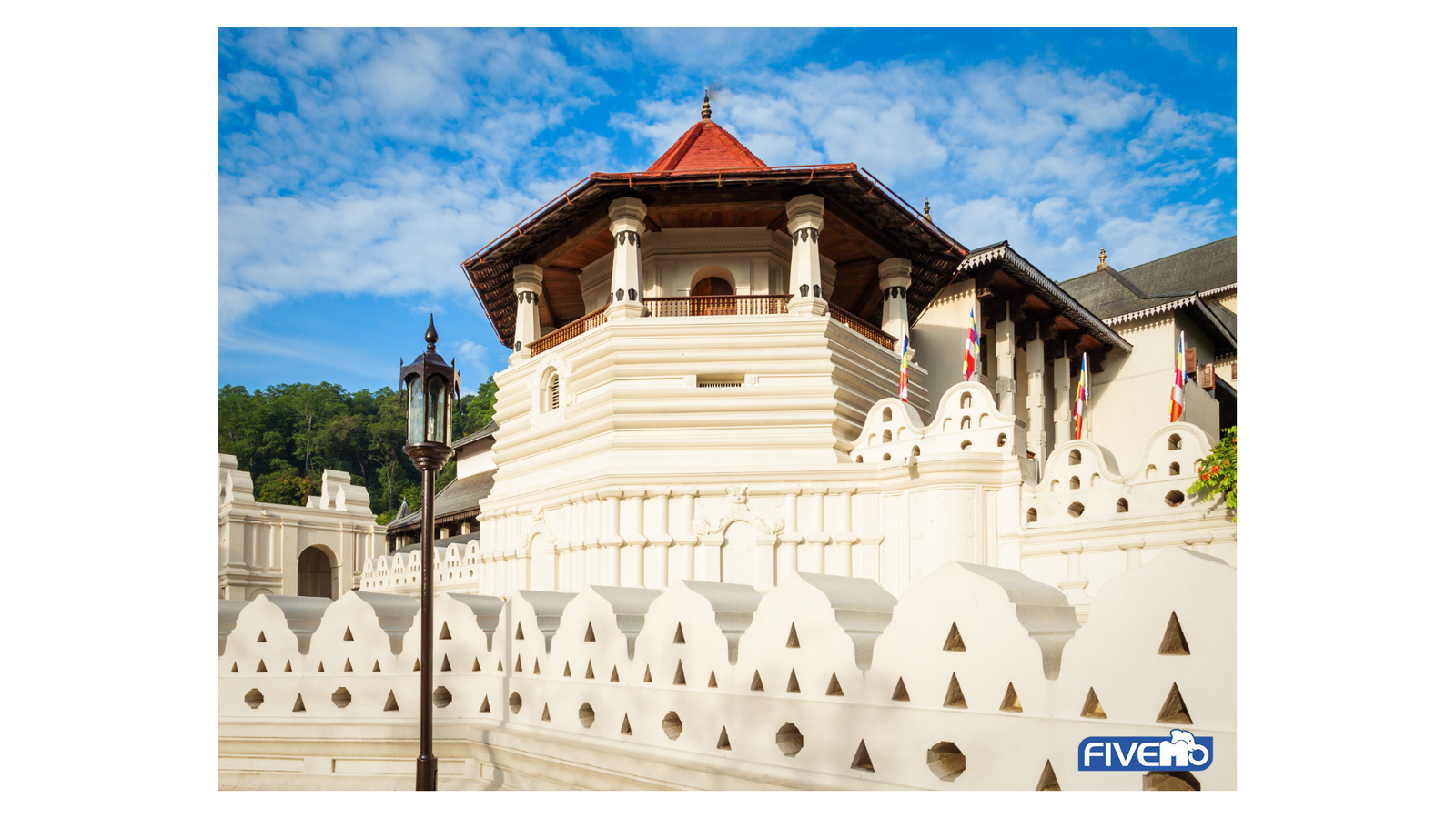 Kandy Day Tour from Colombo/Negombo: Pinnawala, Tea Factory, Botanical Garden & Temple of the Tooth
